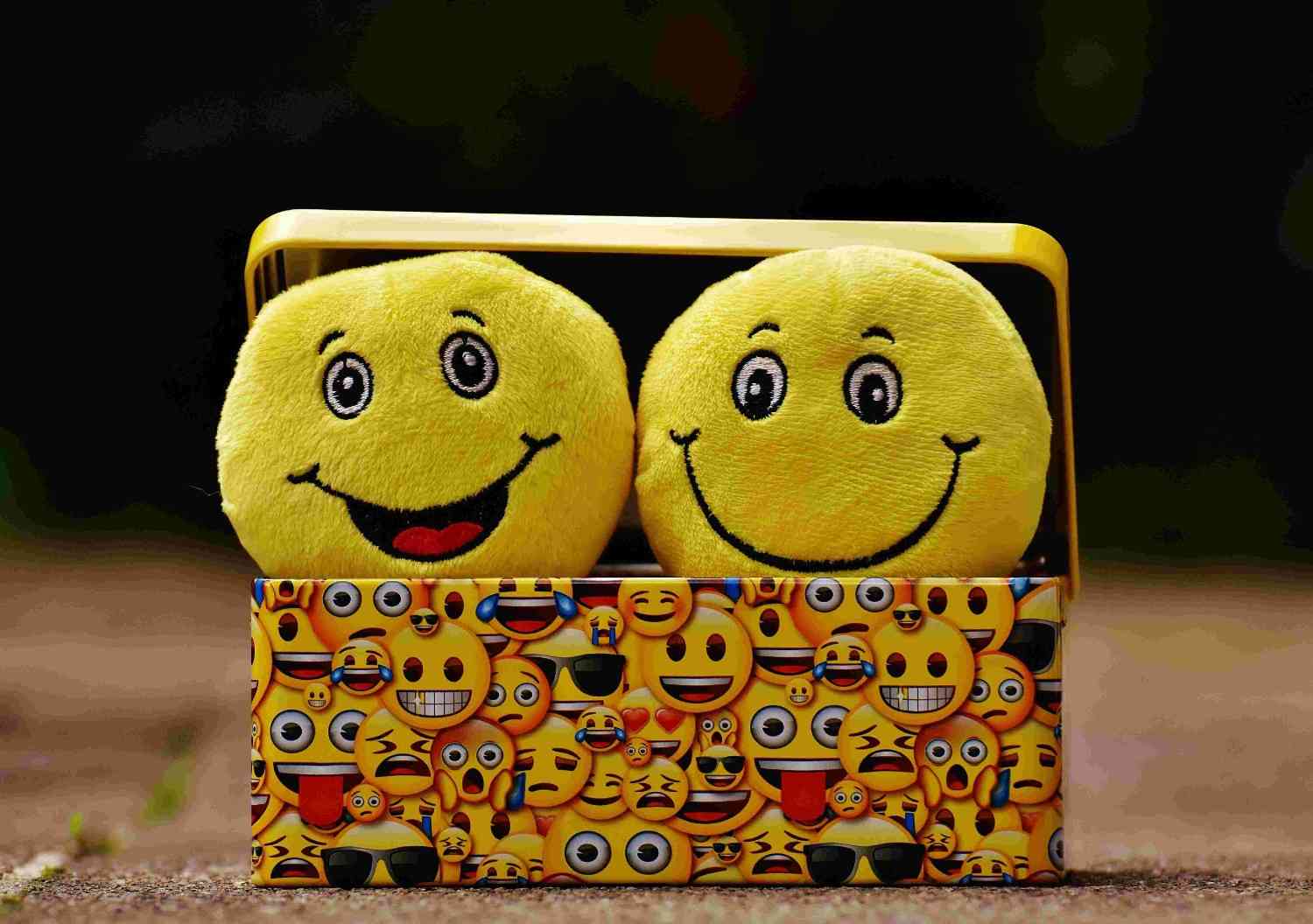Emotional Governance and Emotional Intelligence Program
